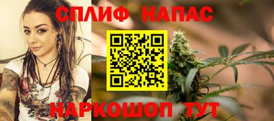 гидропоника Можга