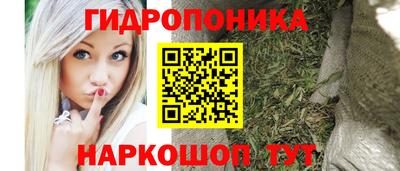 шишки Моздок