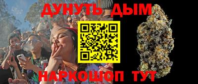 шишки Моздок